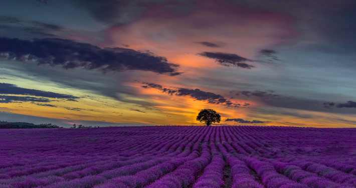 blog-details-content-img